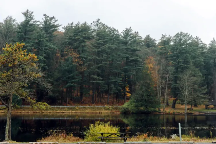 Millions from state lands could be redirected to rural Pennsylvania to help make up for tax-exempt property